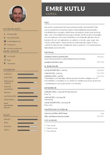 cv indir